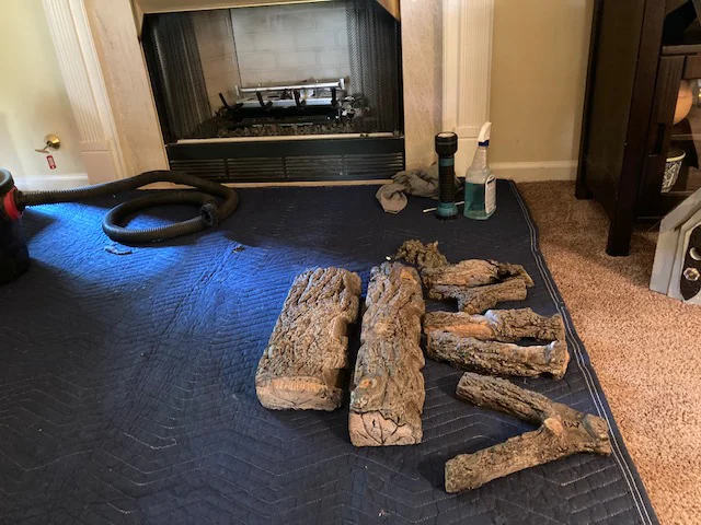 Disassembled #2 - Gas Logs