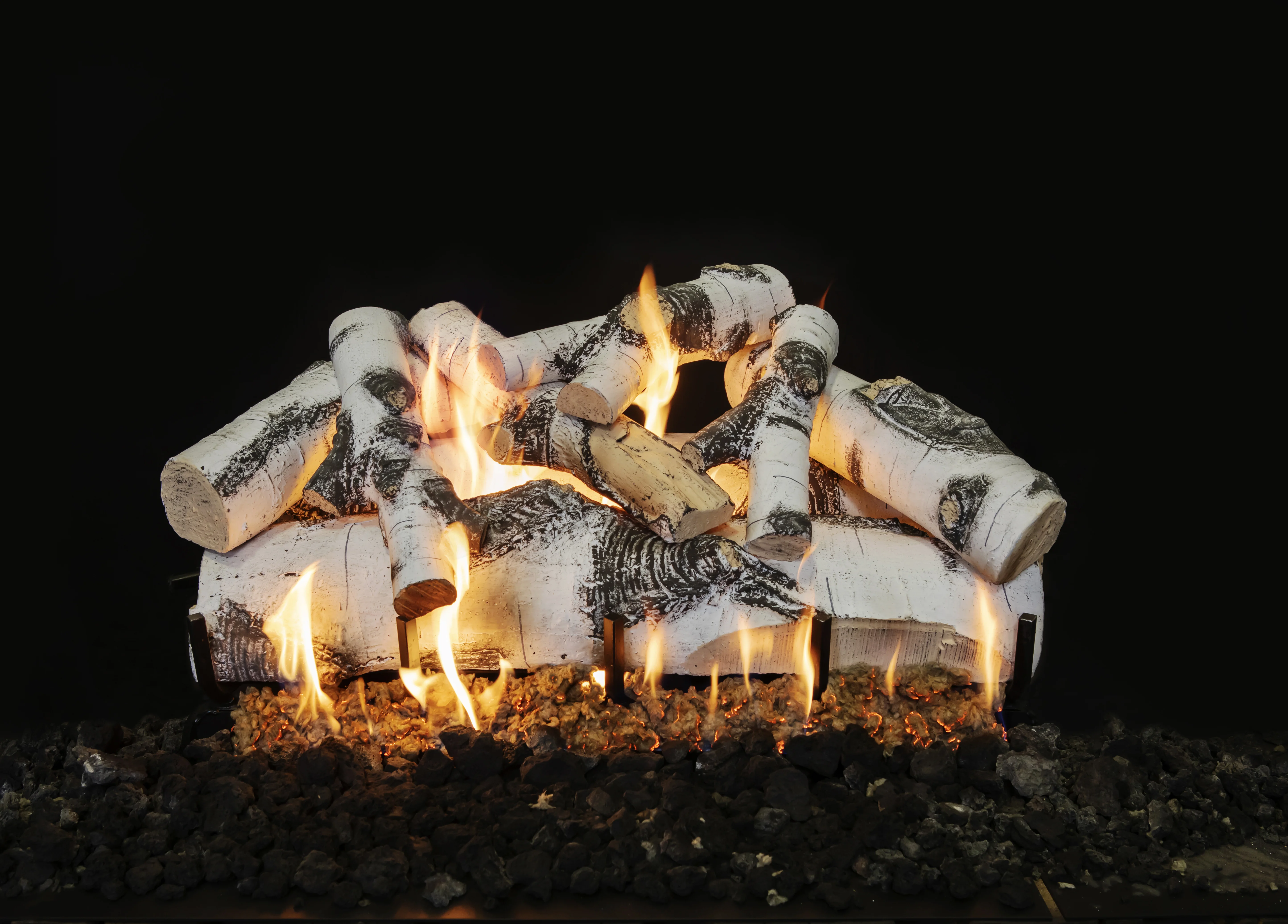 Quaking Aspen Images