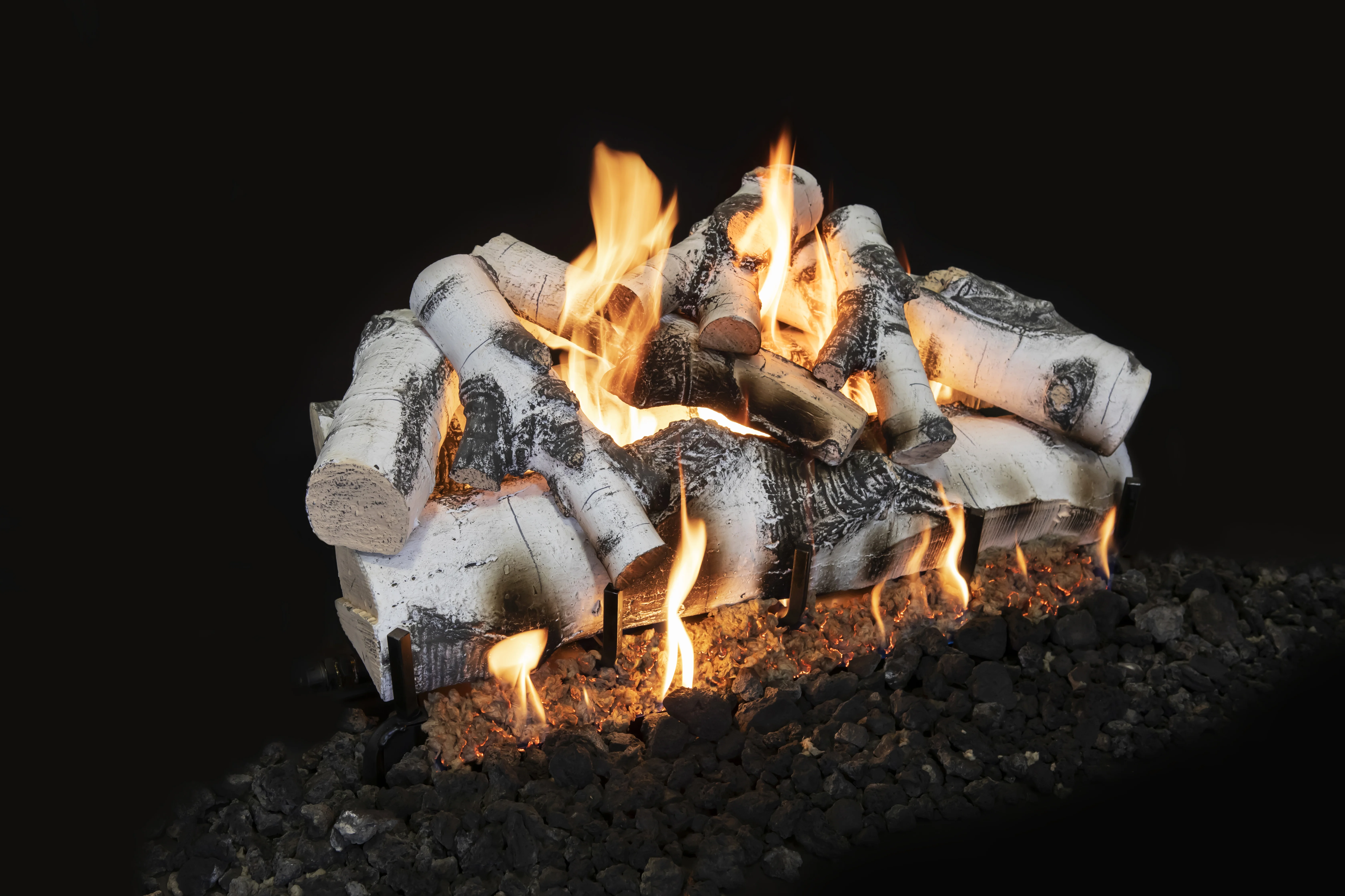 Quaking Aspen Images