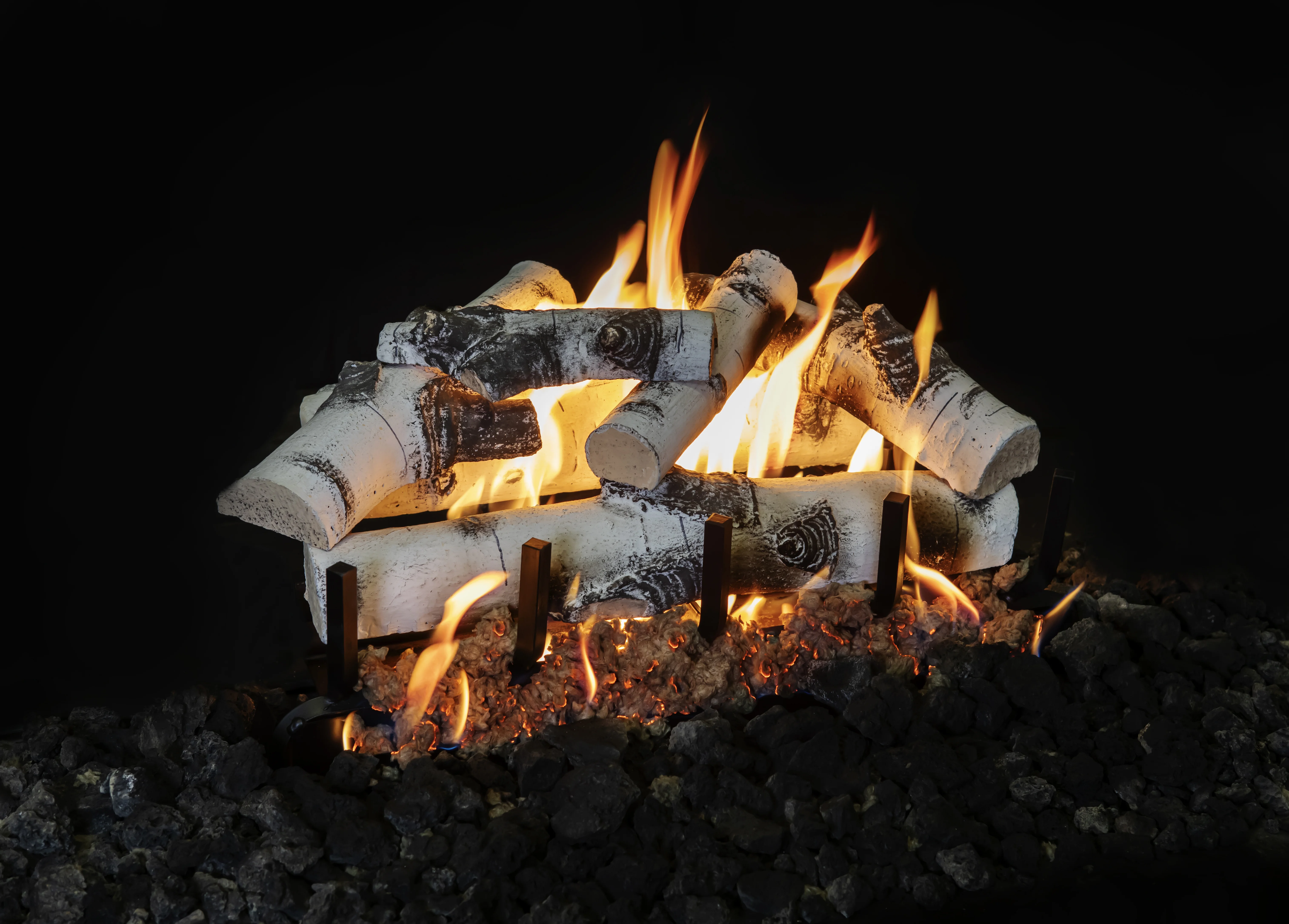 Quaking Aspen Images