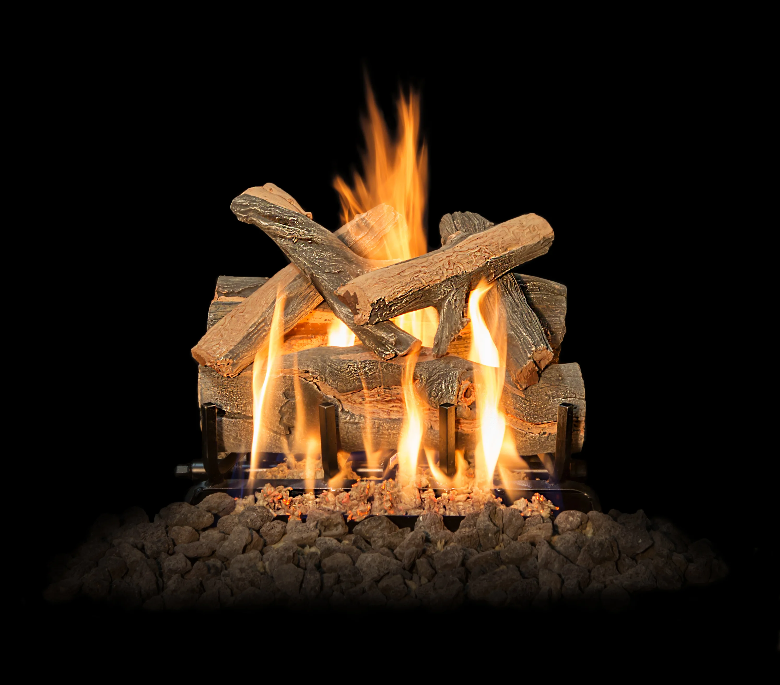 Arizona Juniper Images