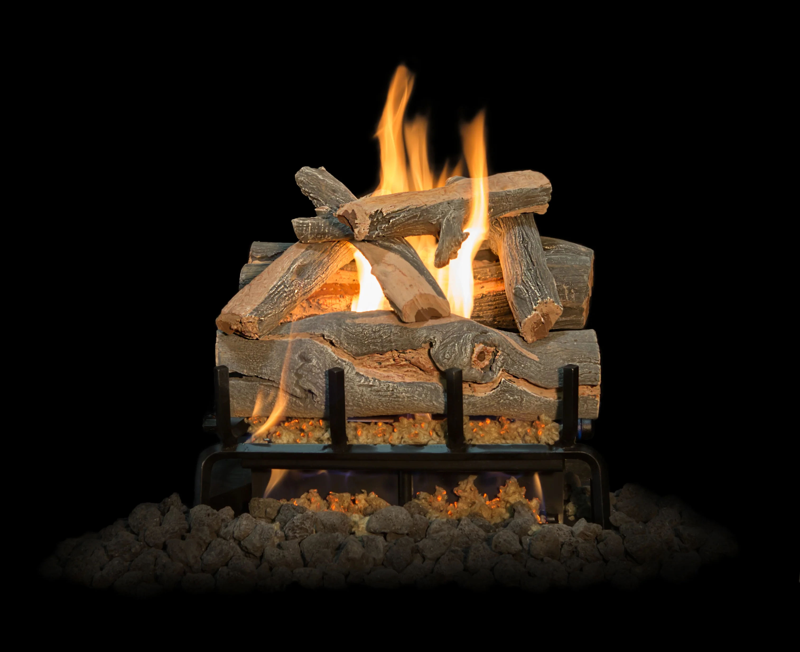 Arizona Juniper Images