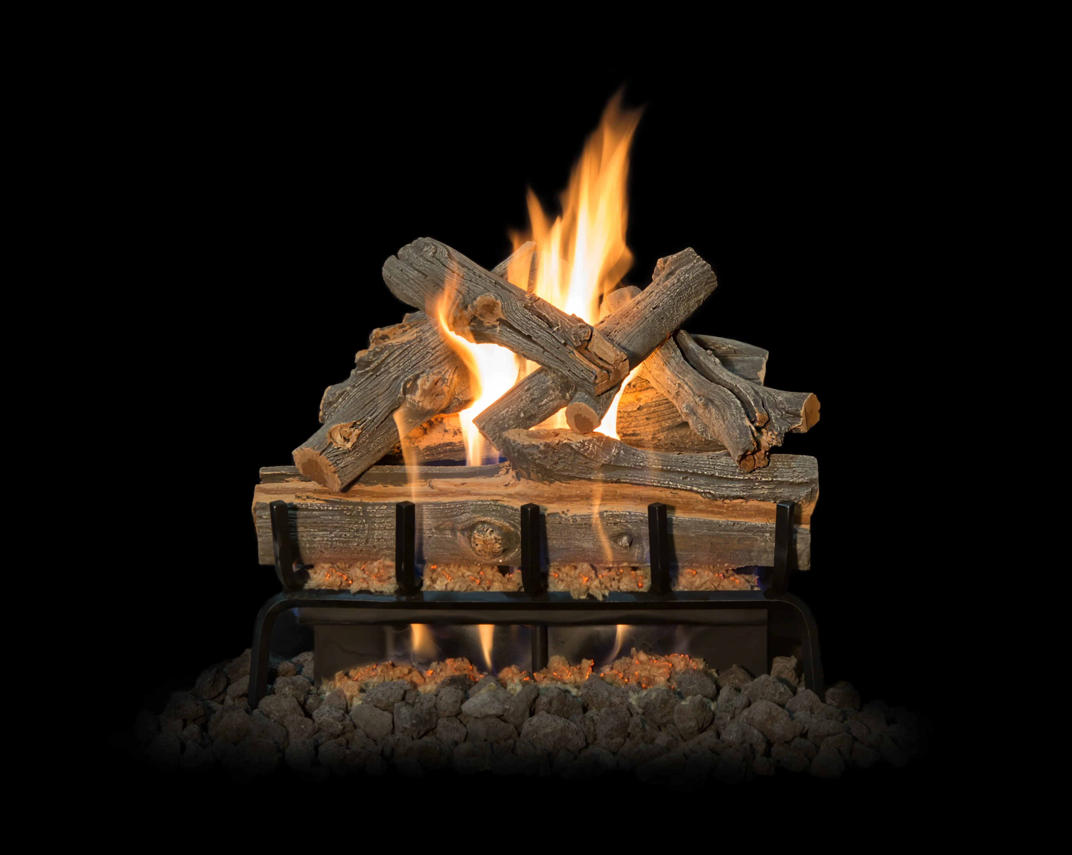 Arizona Juniper Images